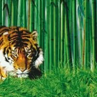 Панно Тигр из мозаики 0106-600 