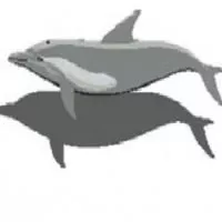 панно Дельфин с тенью 1,37x2,63 м